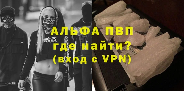индика Саяногорск