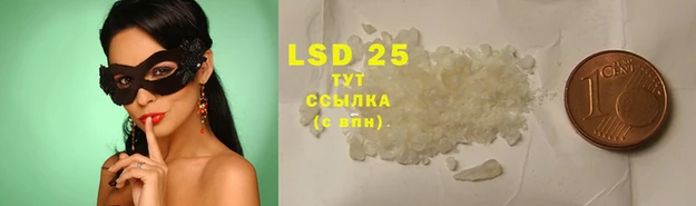 индика Саяногорск